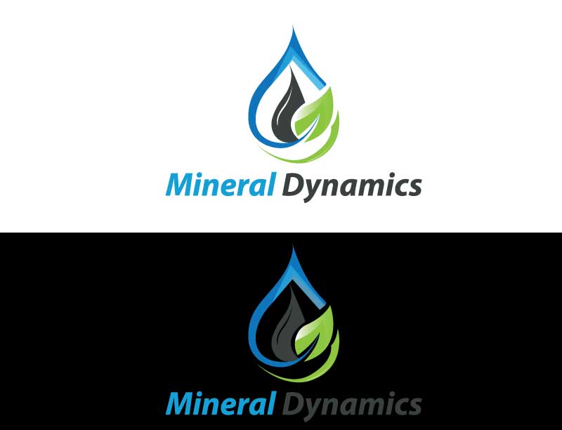 Logo Design by spring TM for this project | Design #12451939