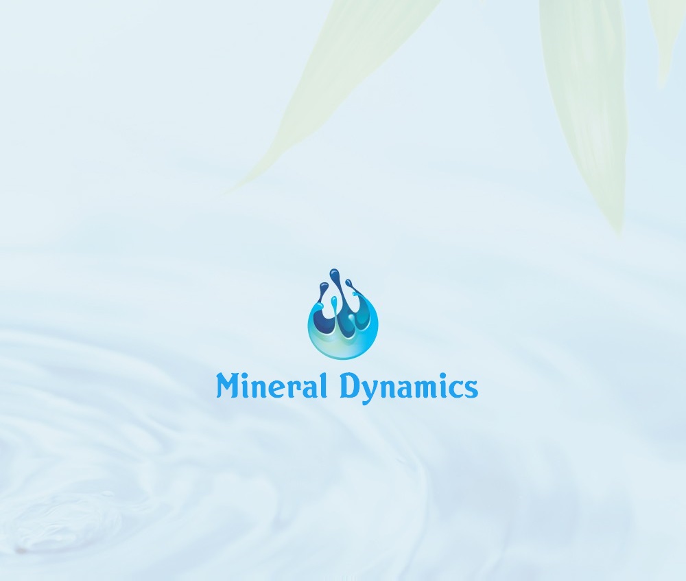 Logo Design by dhavalondesigncrowd for this project | Design #12453966