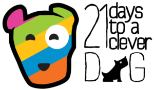 Logo Design by saulfcabrera