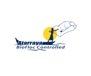Logo Design by Jay Design