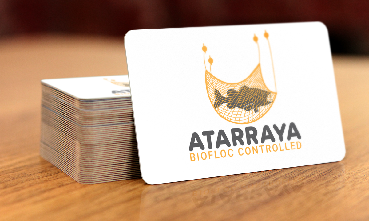 Logo Design by Impressive Solutions for this project | Design #12483951