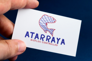 Logo Design by Impressive Solutions for this project | Design: #12483952