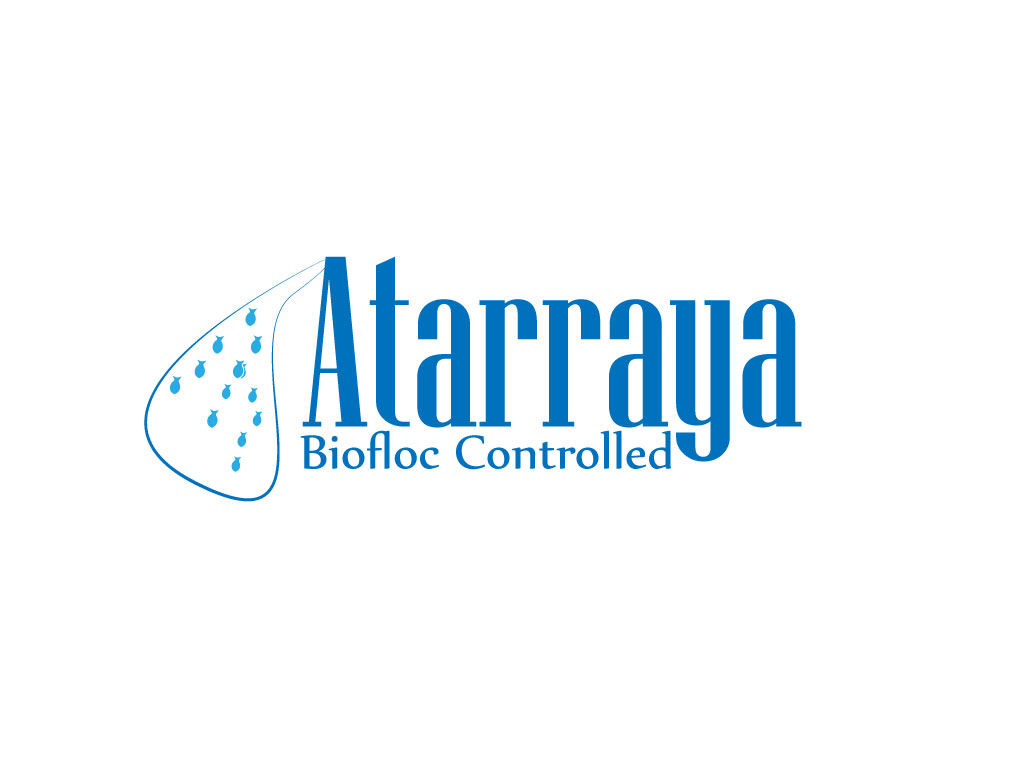 Logo Design by Impressive Solutions for this project | Design #12487672
