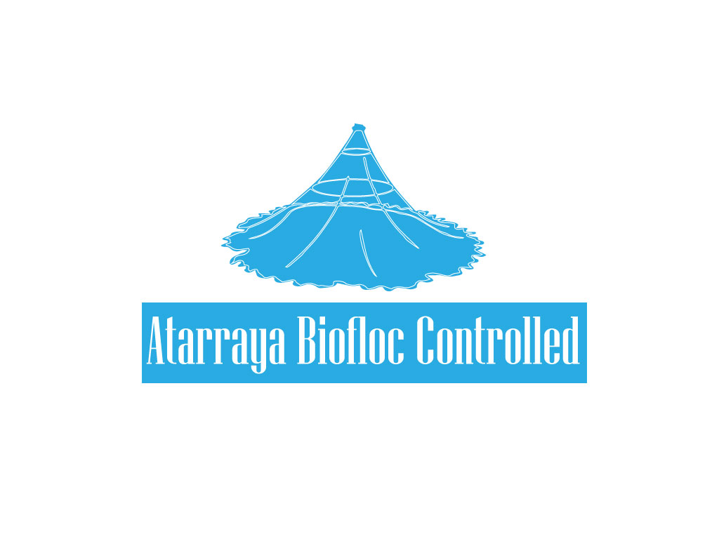 Logo Design by Impressive Solutions for this project | Design #12487675