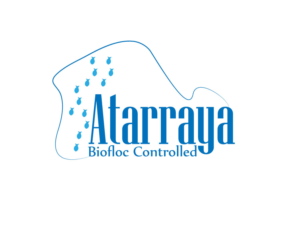 Logo Design by Impressive Solutions for this project | Design: #12487678