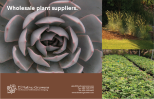Advertisement Design by senja for this project | Design: #12477833