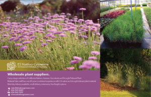 Advertisement Design by senja for this project | Design: #12489077