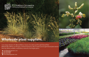 Advertisement Design by senja for this project | Design: #12489155