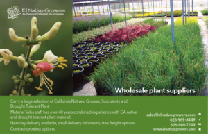 Advertisement Design by senja