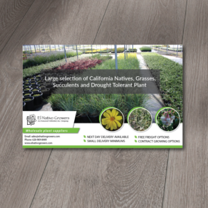 Advertisement Design by Alexandar for this project | Design: #12468915