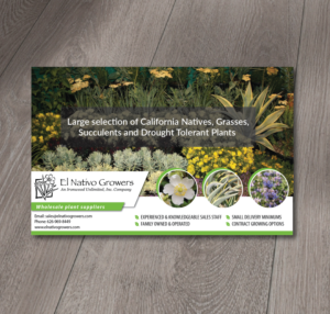 Advertisement Design by Alexandar for this project | Design: #12533692