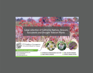 Advertisement Design by Alexandar for this project | Design: #12559393