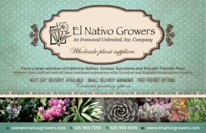Advertisement Design by alessandroevge