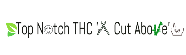 Logo Design by Website Builders for this project | Design #12465394
