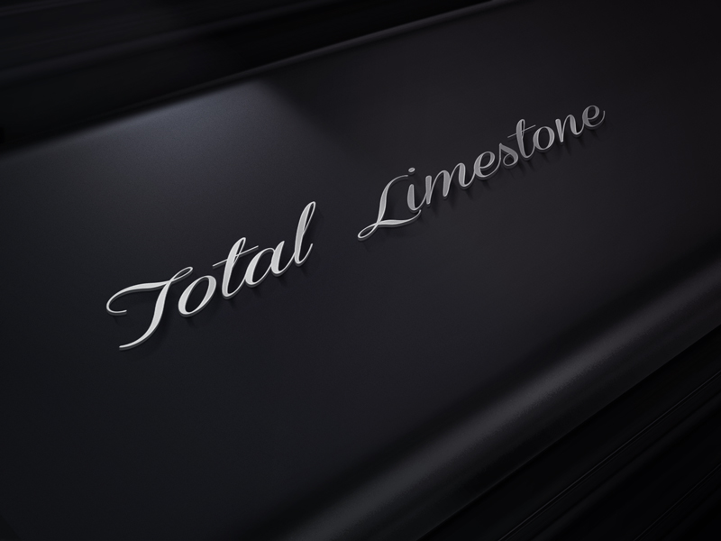 Logo Design by WINSTAR for this project | Design #12491946