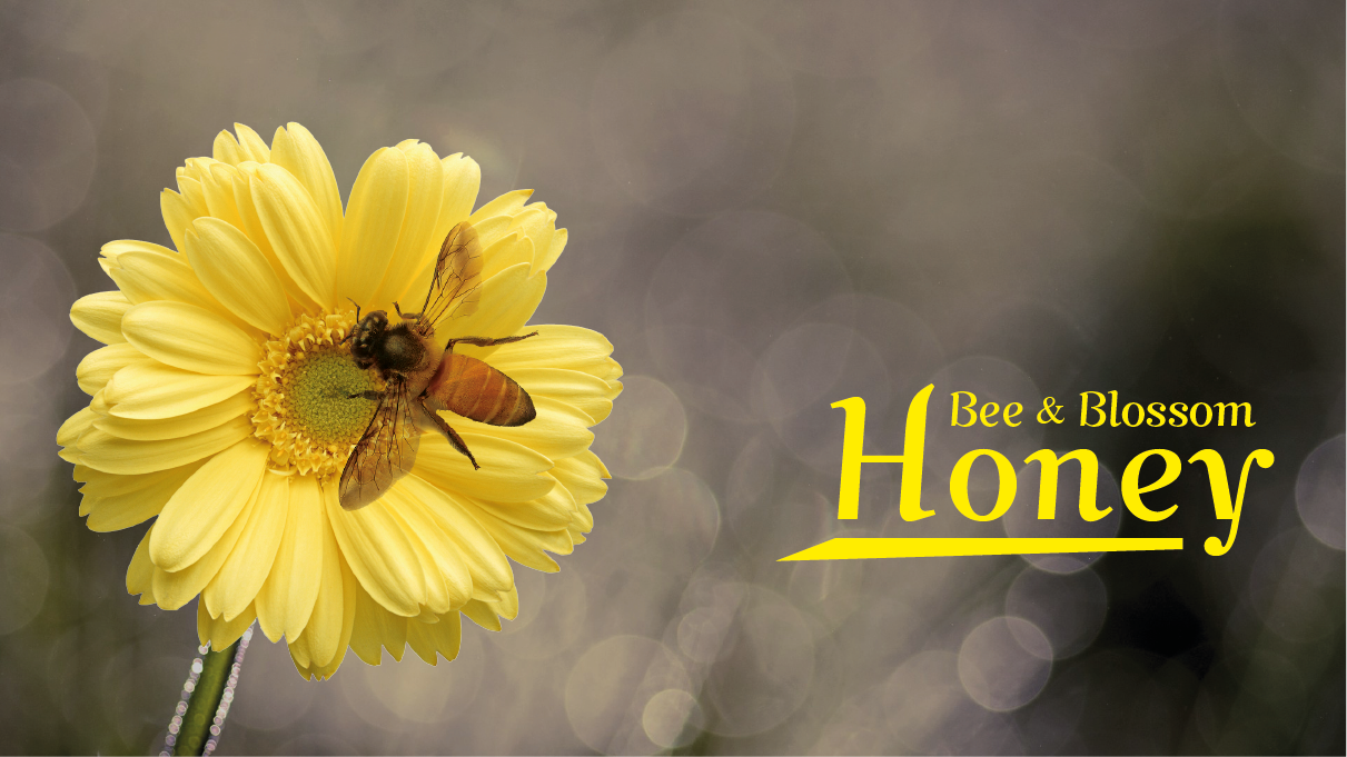 Logo Design by  Cheena for this project | Design #2415473