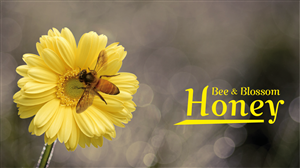 Logo Design by  Cheena for this project | Design: #2415473