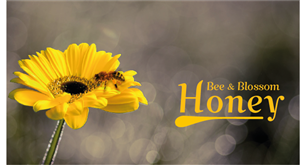 Logo Design by  Cheena for this project | Design: #2416107