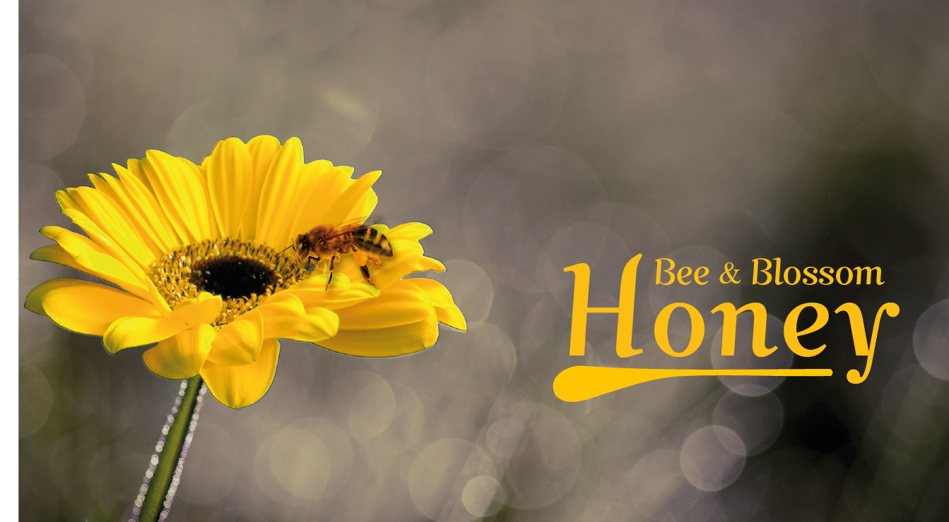 Logo Design by  Cheena for this project | Design #2416112