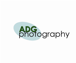 Logo Design by  bluegum