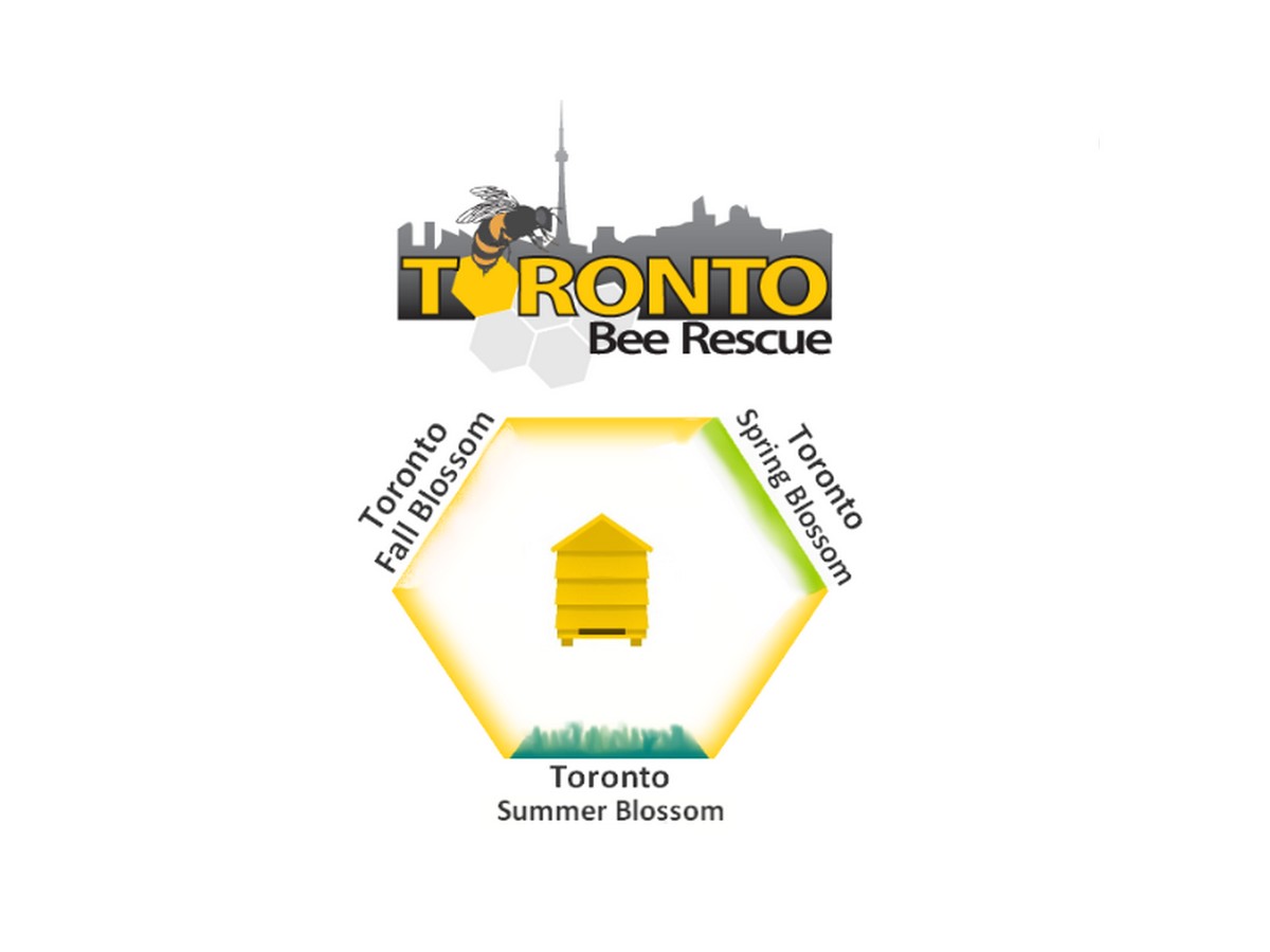 Packaging Design by designerone for Toronto Bee Rescue | Design #12509917