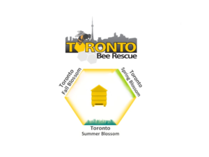 Design Emballage par designerone pour Toronto Bee Rescue | Design #12509917