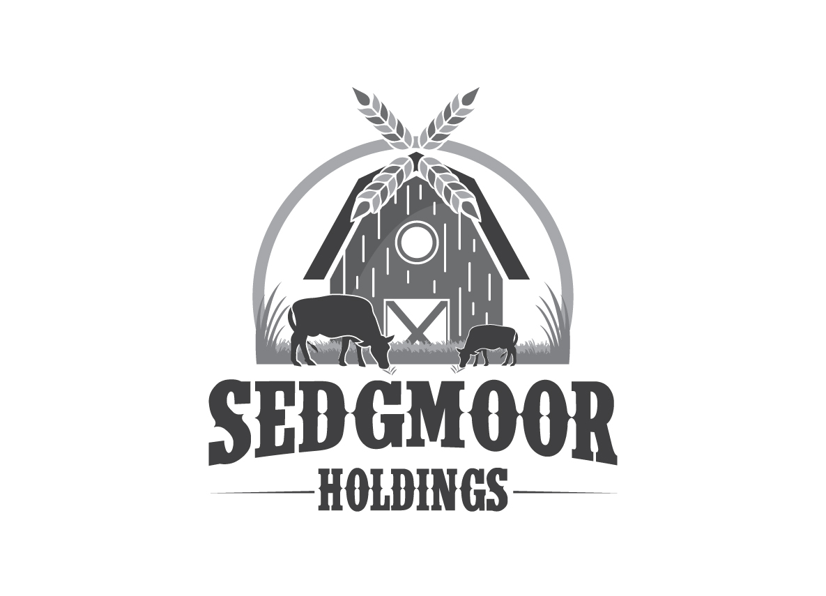 Logo Design by creative.bugs for this project | Design #12497159