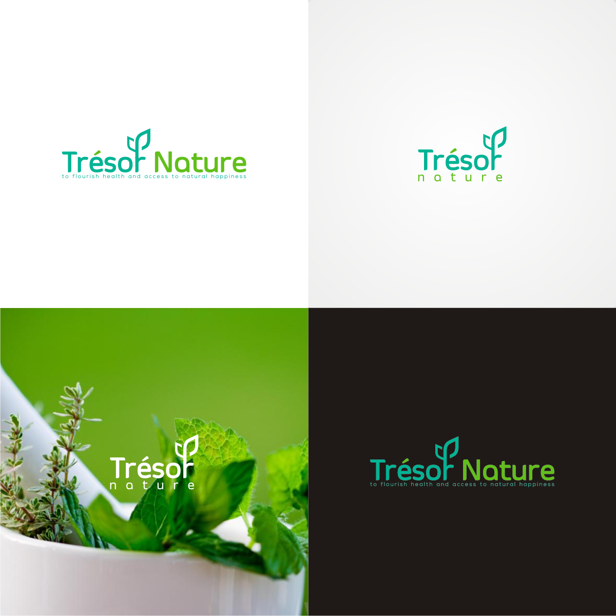 Logo Design by MKR for Trésor Nature | Design #12516295