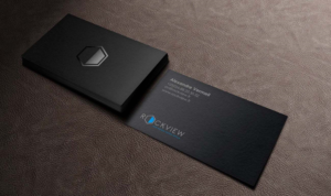 Business Card Design by INDIAN_Ashok for ROCKVIEW | Design: #12492525