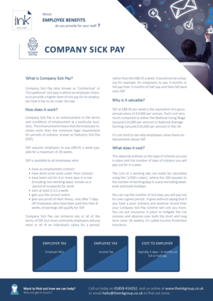 Design for an A4 product factsheet | Diseño de Flyer por aniep