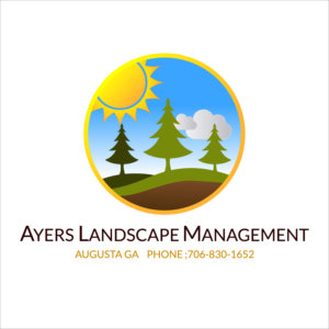 Vector Design by noubigh