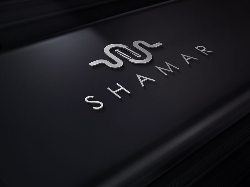 Logo Design by designlogo007 for Angelo Diaz  | Design #12502899