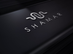 Logo Design by designlogo007 for Angelo Diaz  | Design: #12502899