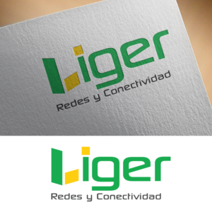 Logo Design by Next Screen Infotech
