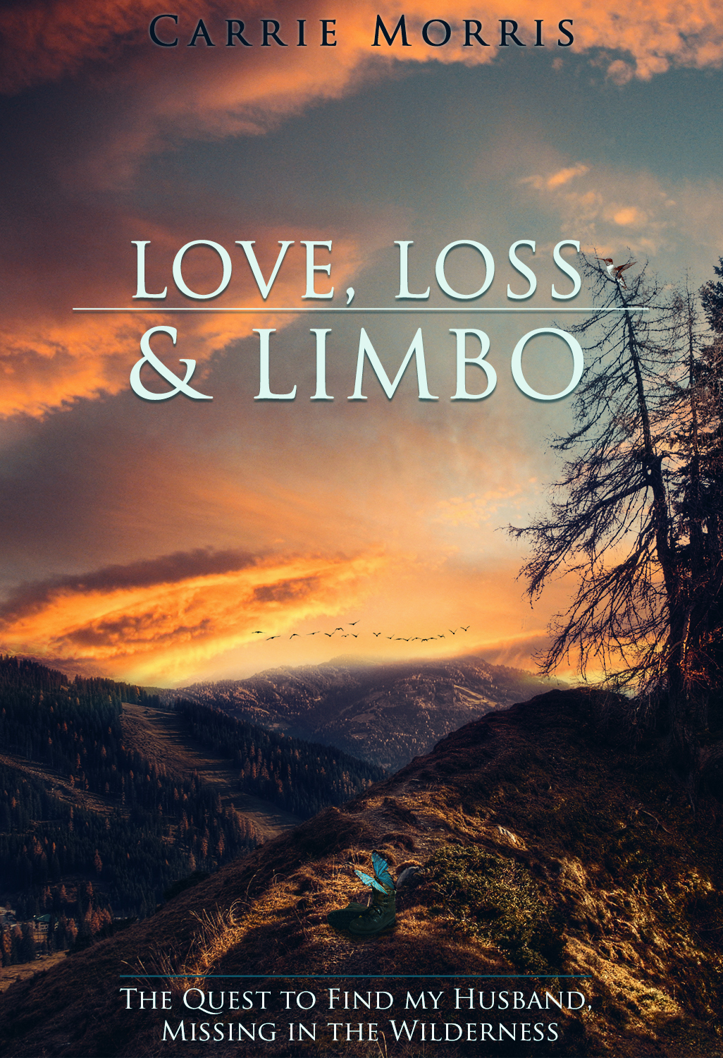 Design de Couverture de Livre par Drexen pour ce projet | Design #12594309