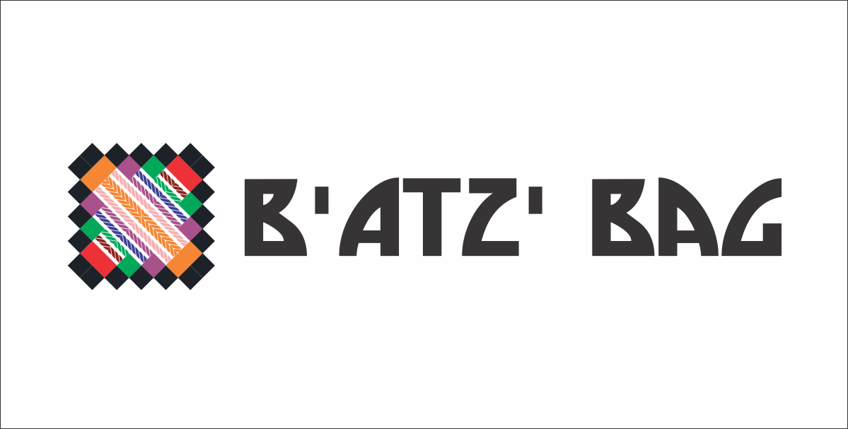 Logo Design by LOGO DESIGNER for Batz Bags | Design #2428326