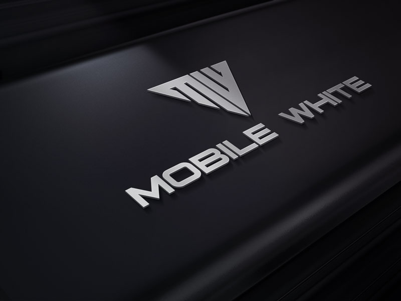 Logo Design by designlogo007 for this project | Design #12503088