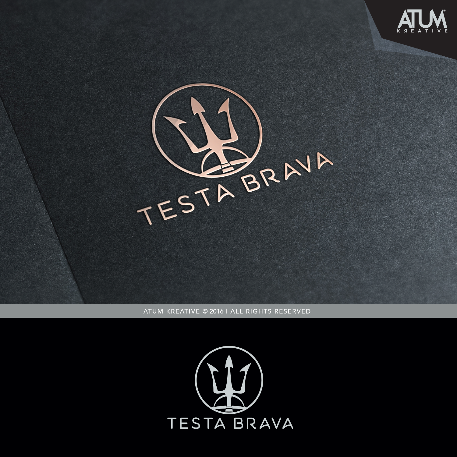 Design de Logo par Atum Kreative™ pour Testabrava | Design #12648015