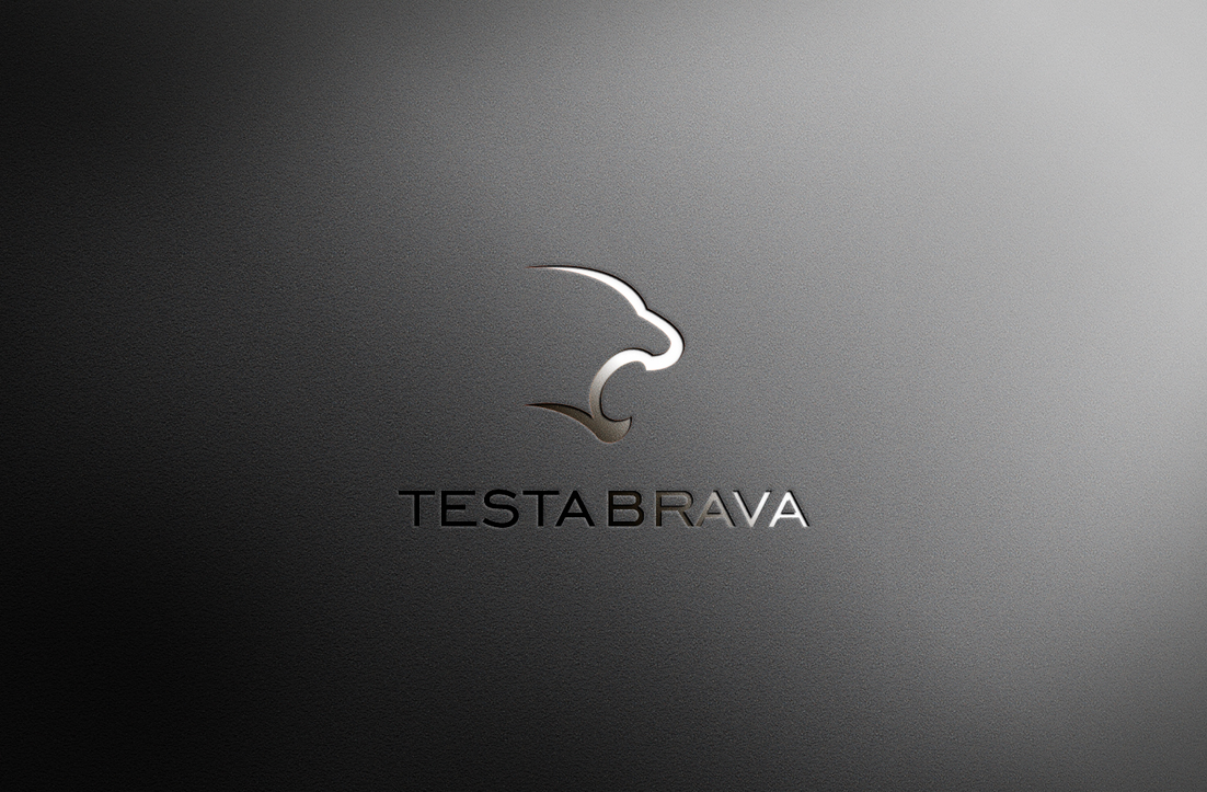 Logo Design by GLDesigns for Testabrava | Design #12511711
