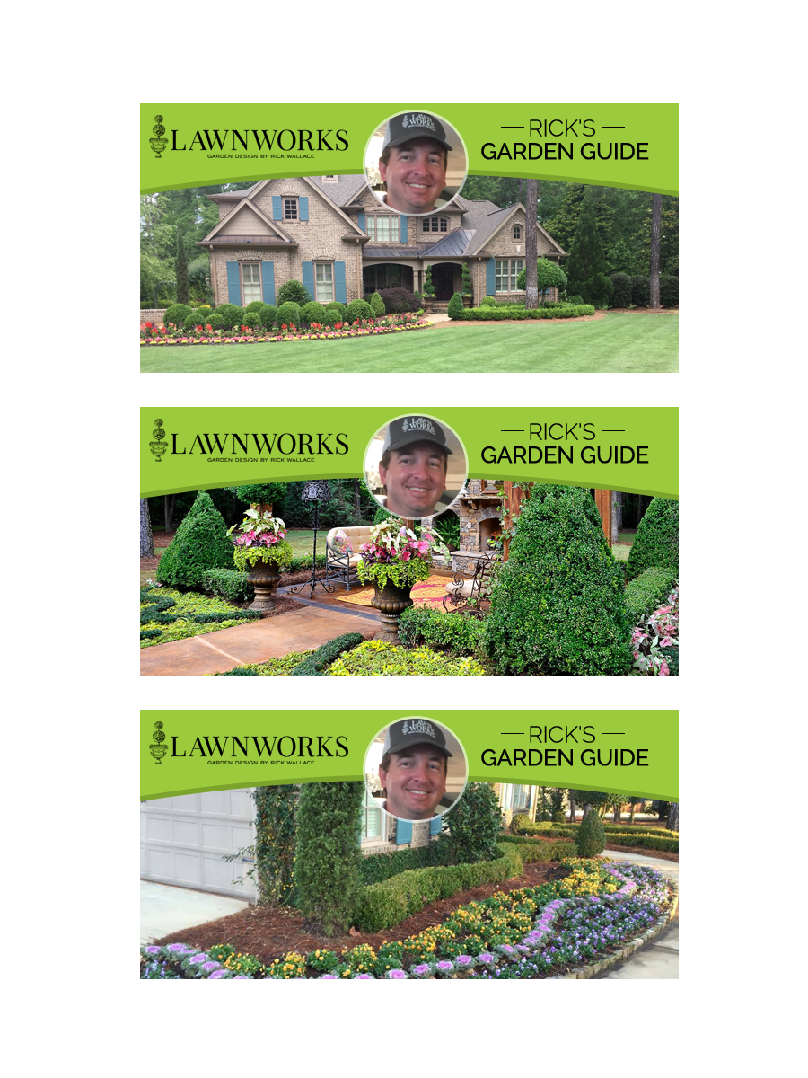 Banner Ad Design by Laurra for this project | Design #12509159