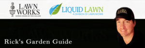 Banner Ad Design by mucreativestudio for this project | Design #12525828