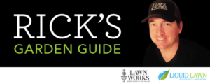 Banner Ad Design by Danna Joselovitch for this project | Design #12513924