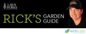Banner Ad Design by Danna Joselovitch for this project | Design: #12513926