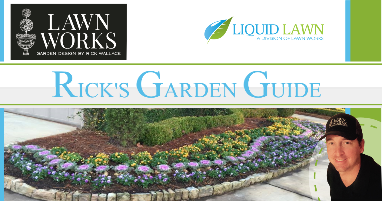 Design de Bannière  par ankitagraphics pour ce projet | Design #12518376