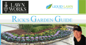 Banner Ad Design by kitsyartworks for this project | Design #12518376