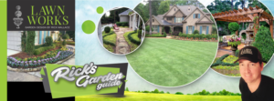 Banner Ad Design by Marketing Wings
