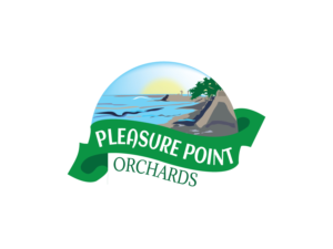 Logo Design by Impressive Sol