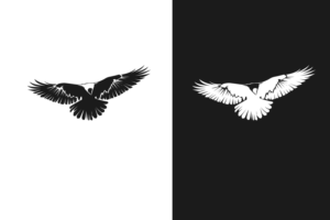 Logo Design by R.Bello