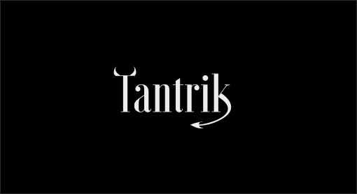 Logo Design by ciolena for Namastra International Ltd. | Design #12530640