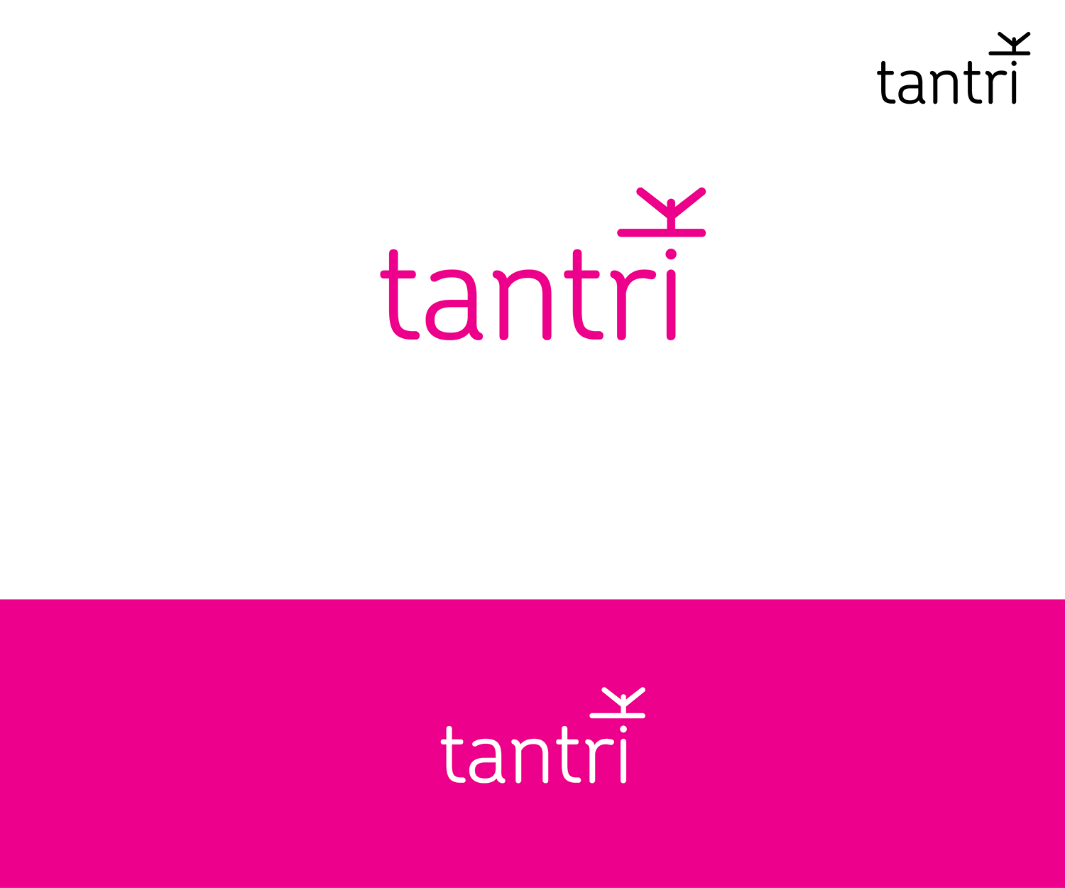 Logo Design by RoundYellow for Namastra International Ltd. | Design #12521521